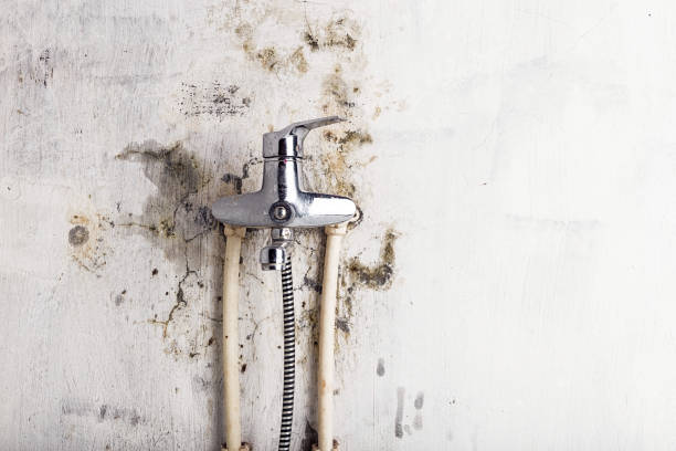 Farr West, UT Mold Removal Company