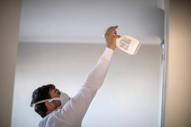 Best Mold Testing  in Farr West, UT