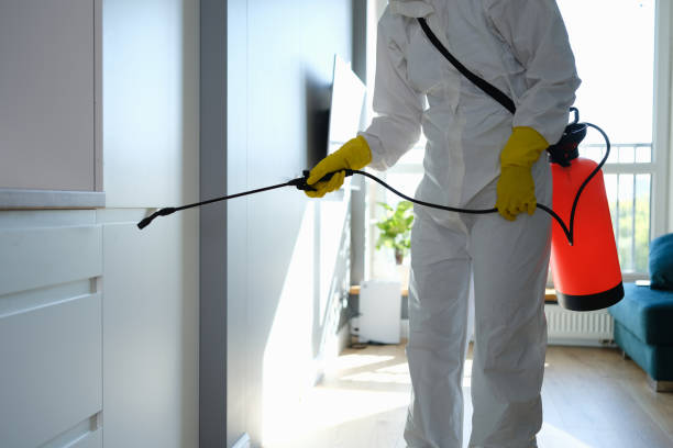 Best Commercial Mold Removal  in Farr West, UT