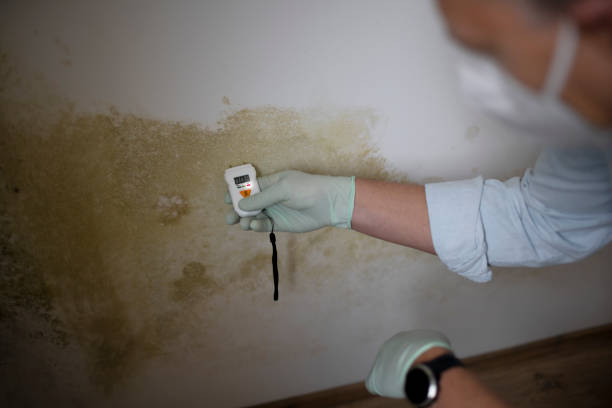 Best Crawl Space Mold Removal  in Farr West, UT