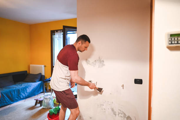 Best Emergency Mold Removal  in Farr West, UT